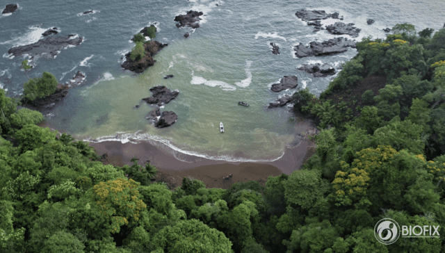 Biofix image of a beach