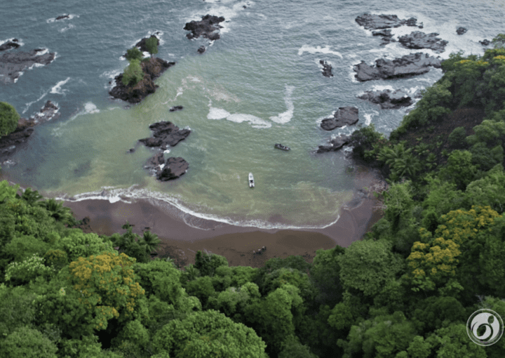 Biofix image of a beach