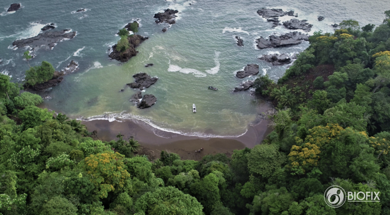 Biofix image of a beach