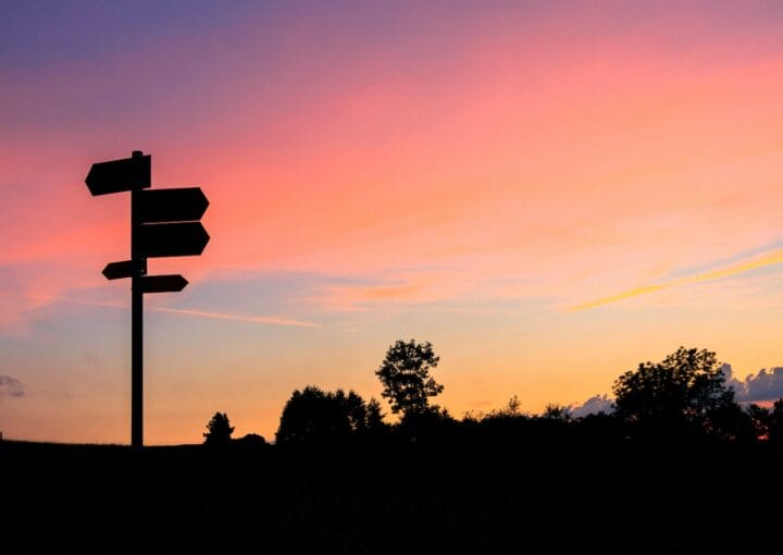 silhouette of trees during sunset