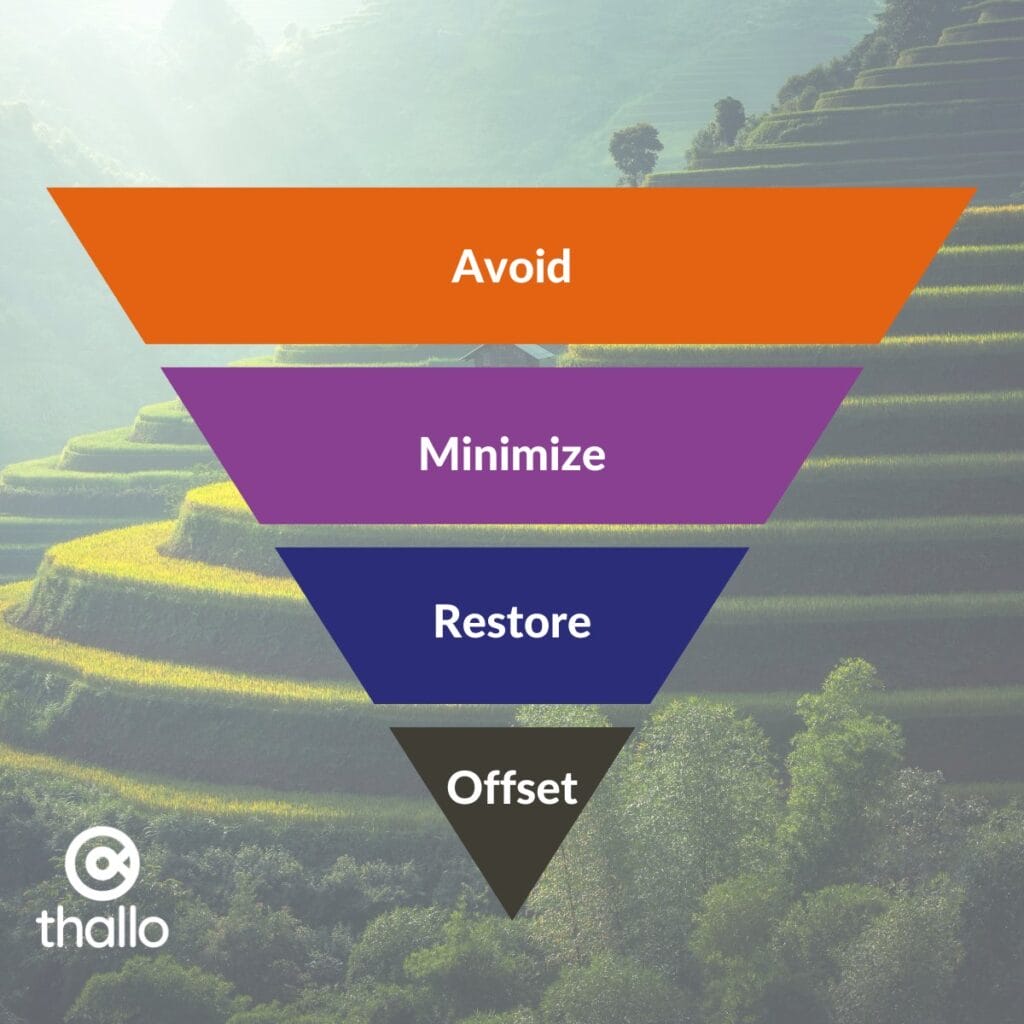 Mitigation hierarchy for carbon offsetting