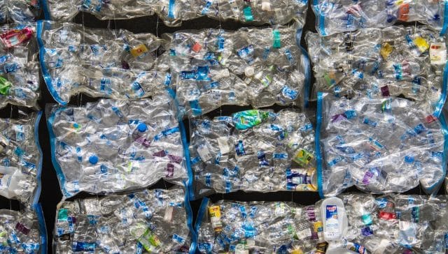 blue and white plastic pack lot