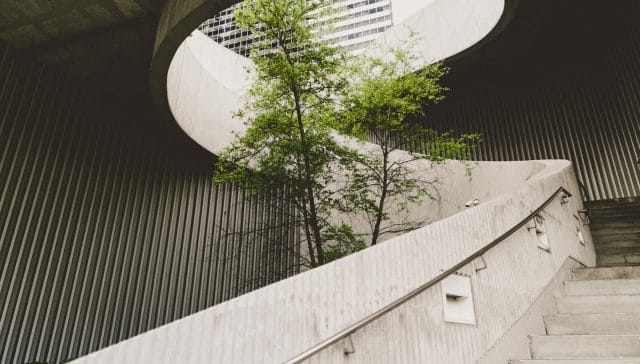 architectural photography of concrete stair