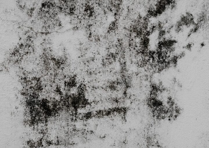 a black and white photo of a wall
